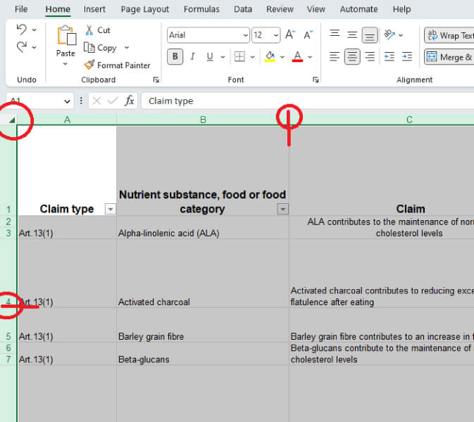 Excel auto-size rows and columns